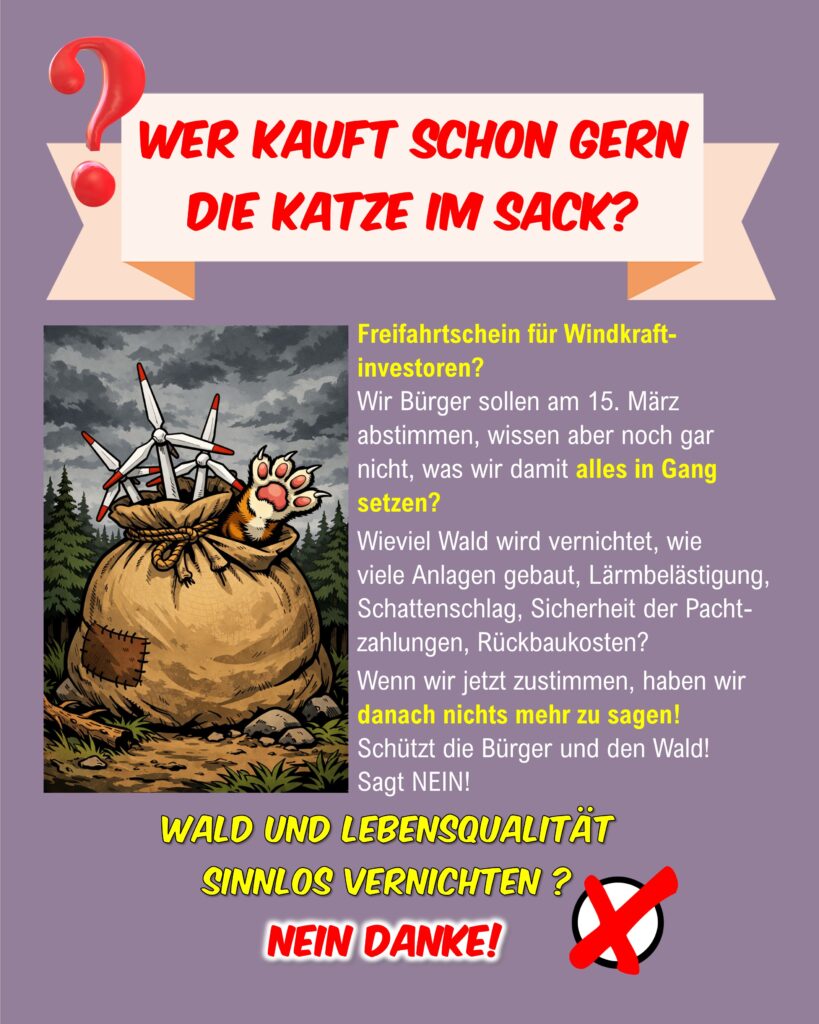 2026 02 16 katze im sack